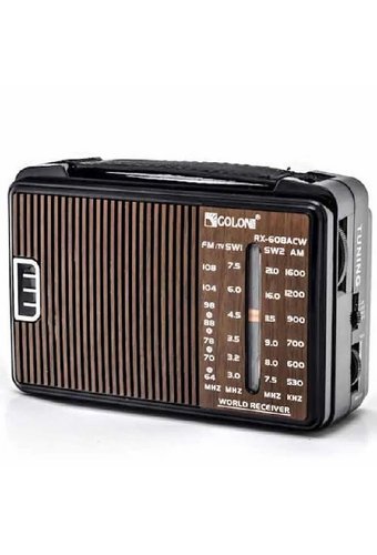 Радиоприемник портативный GOLON RX-608ACW 220V/2хR20  /6