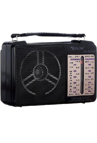 Радиоприемник портативный GOLON RX-607AC 220V/2хR20  /6